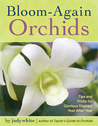 Bloom-Again Orchids Book by judywhite Stock Images